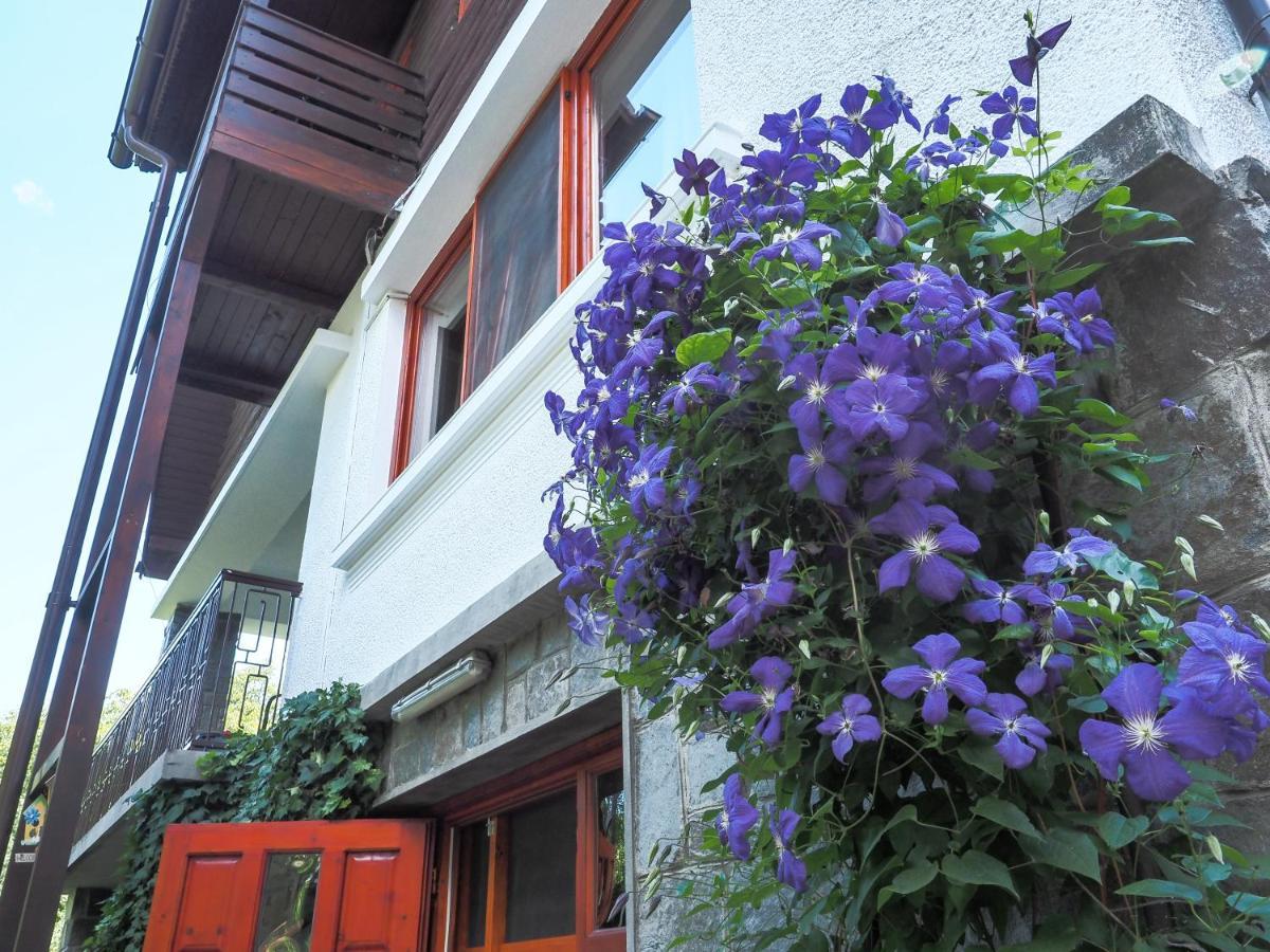 Casa Camelia Hotel Sovata Exterior foto