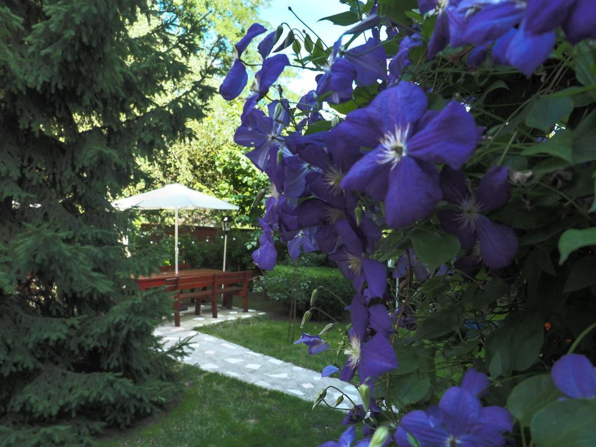 Casa Camelia Hotel Sovata Exterior foto
