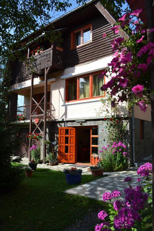 Casa Camelia Hotel Sovata Exterior foto